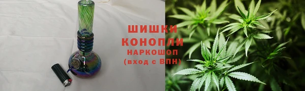 гашик Нягань