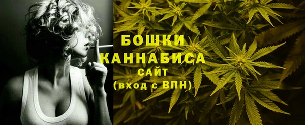 гашик Нягань