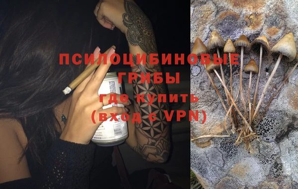 тгк Нязепетровск
