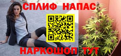 apvp Беслан