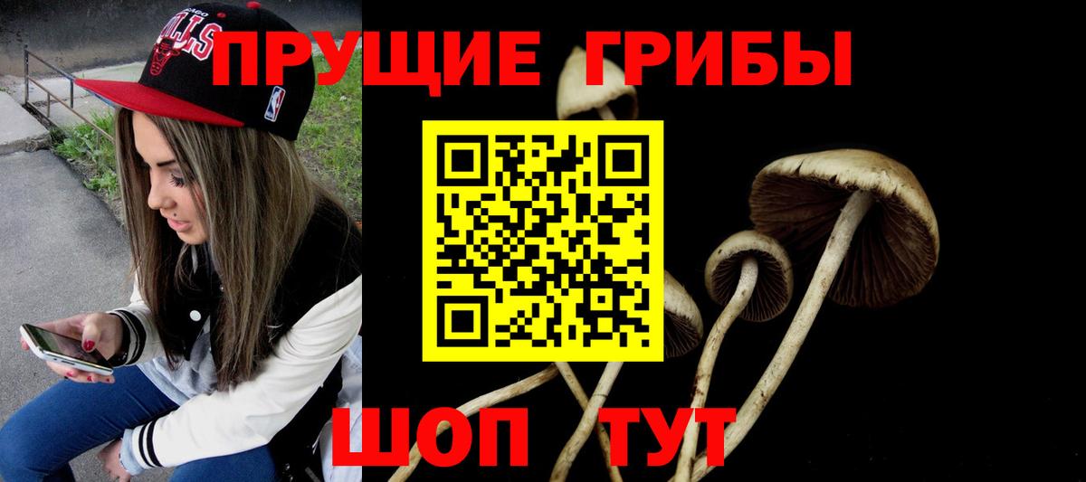 Галлюциногенные грибы мухоморы Корсаков